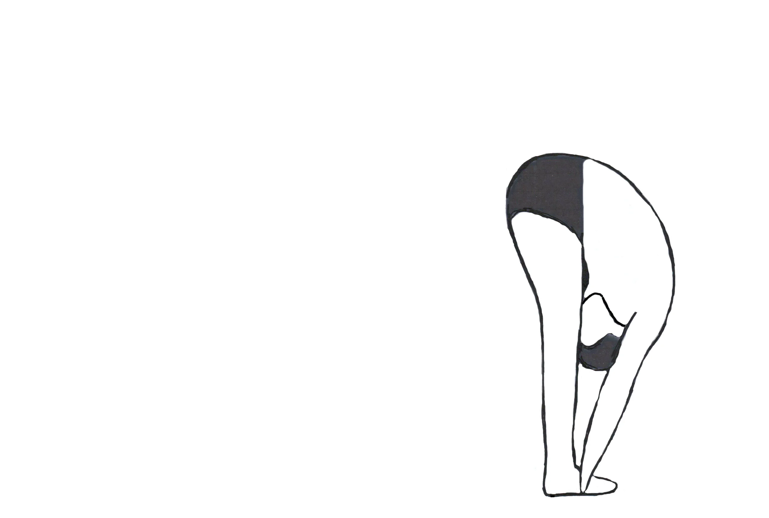 2015-02-15 - mtownsendw - sun salutation 03b.jpg
