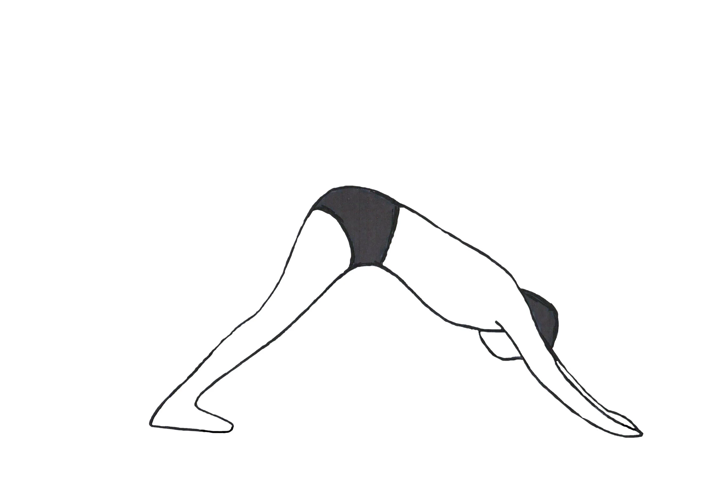 2015-02-15 - mtownsendw - sun salutation 10c.jpg